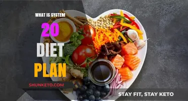 Unveiling the Secrets of the System 20 Diet Plan