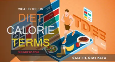 Understanding TDEE: Calorie Counting for Weight Loss