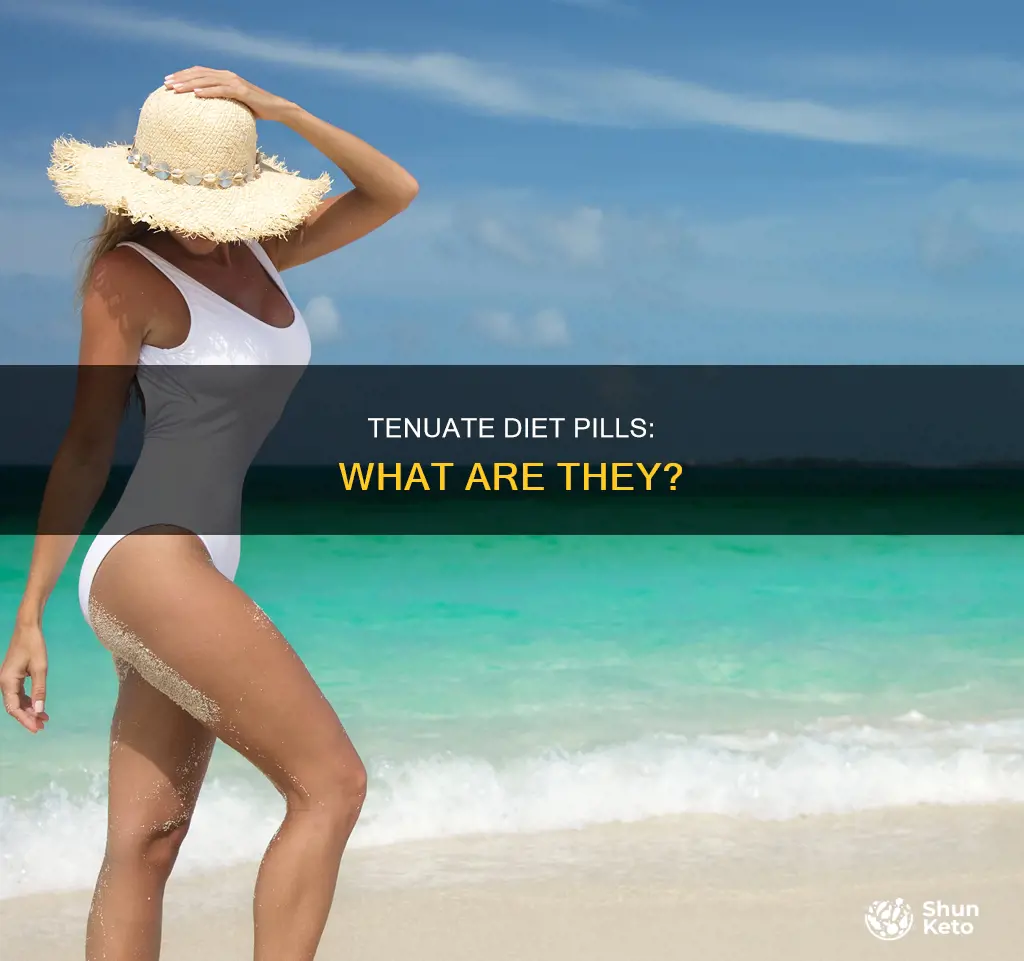 what is tenuate diet pills