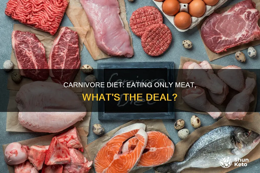 what is tge carnivore diet
