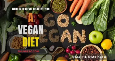 Vegan Diet: Energy Levels and Activity