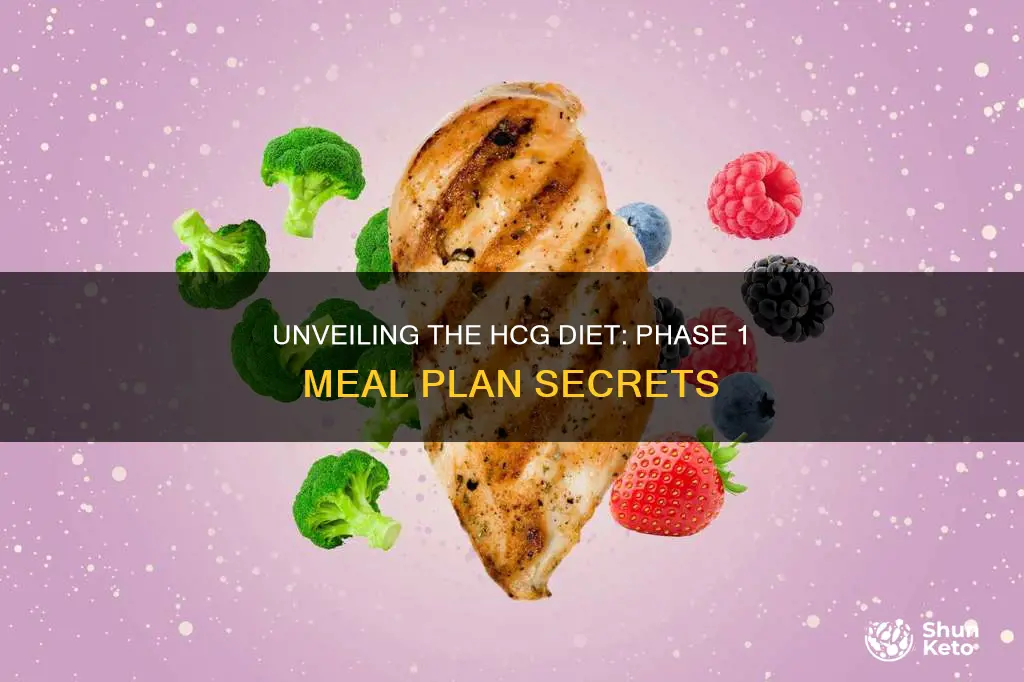 what is th hcg diet phase 1 meal plan