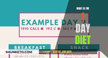 Rapid Weight Loss: The One-Day Diet Explained
