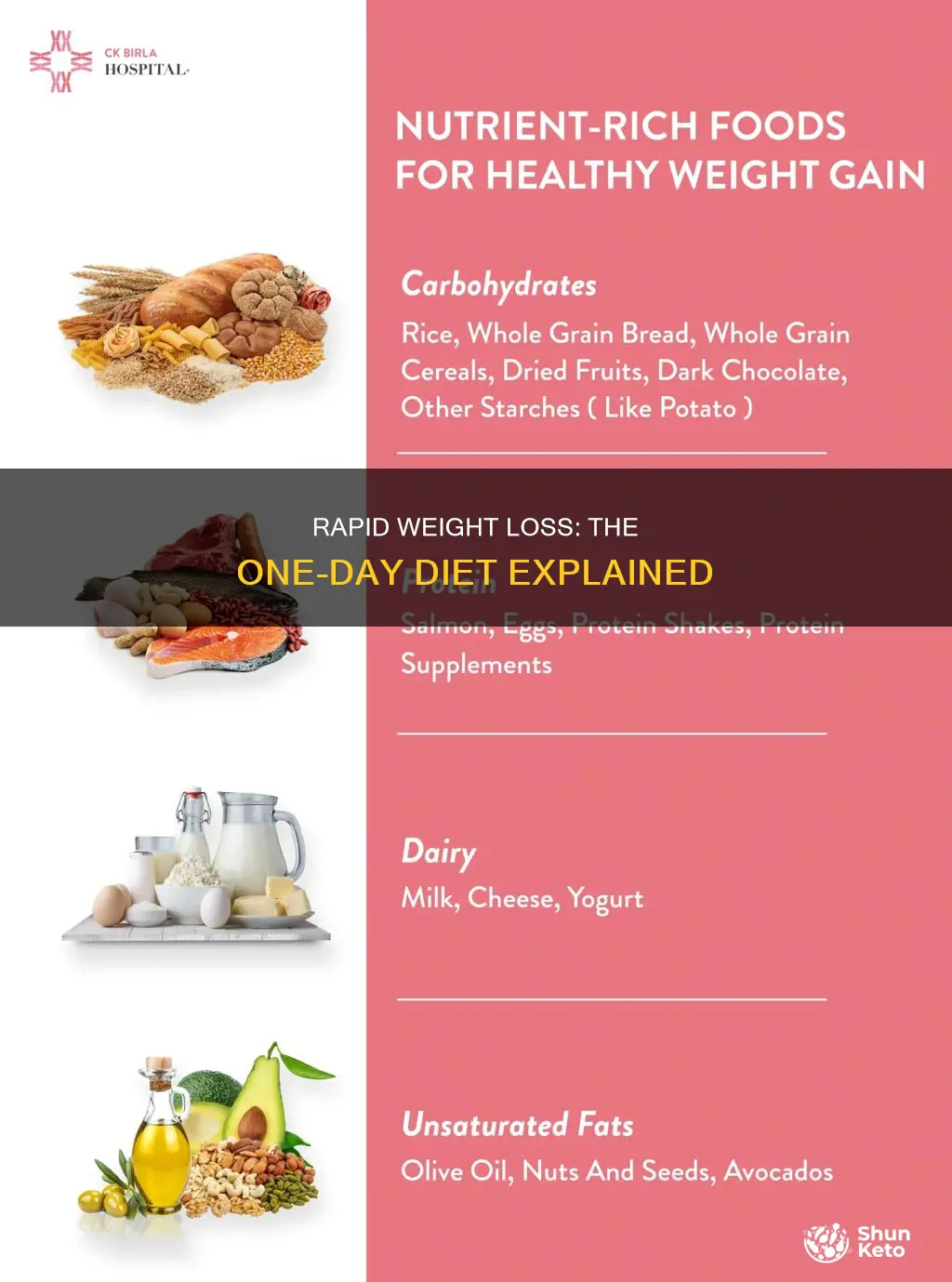 what is the 1 day diet