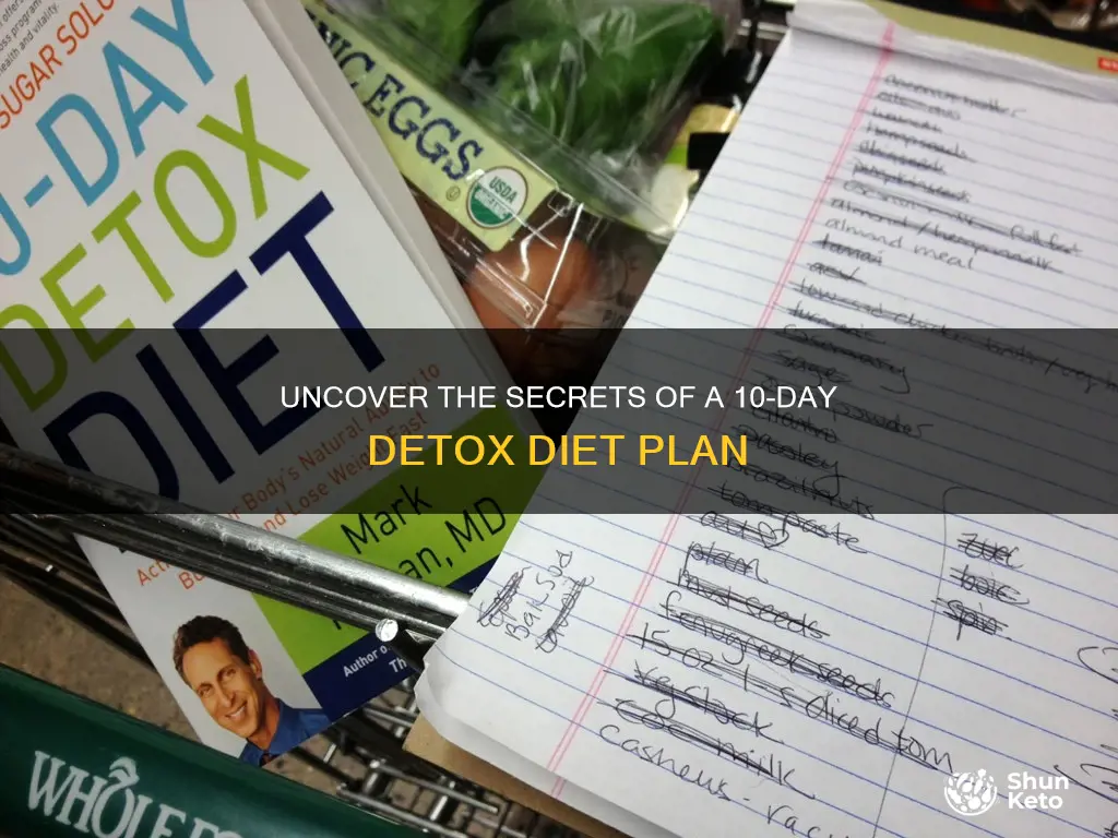 what is the 10 day detox diet plan