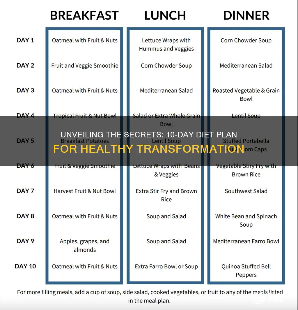 what is the 10 day diet plan