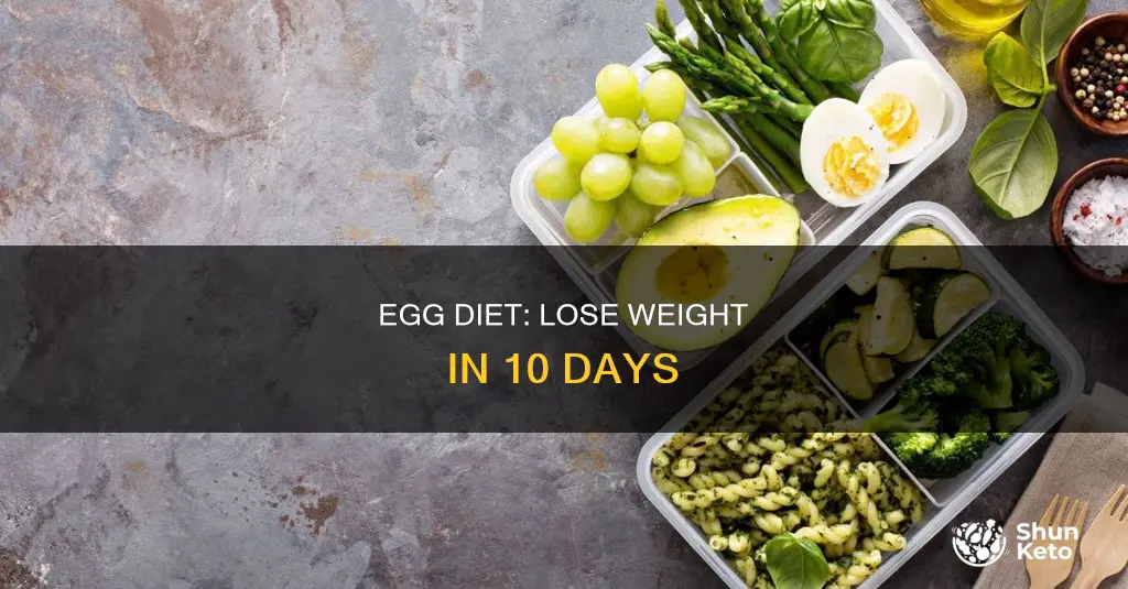 what is the 10 day egg diet