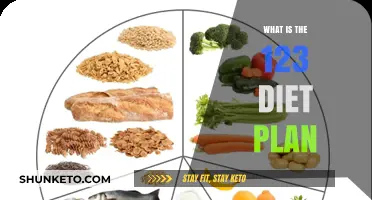 Unveiling the Secrets: The 123 Diet Plan Explained