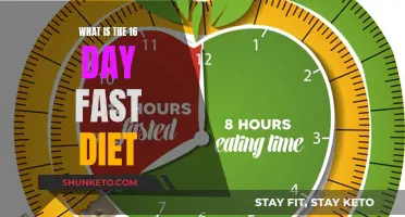 Fast Diet: 16 Days to a New You