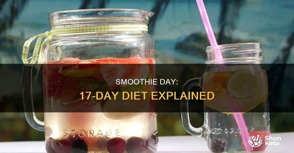 what is the 17 day diet smoothie day
