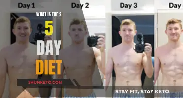 Rapid Weight Loss: The 2-Day Diet Plan
