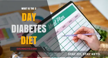 Diabetes Diet: A 2-Day Plan for Managing Blood Sugar