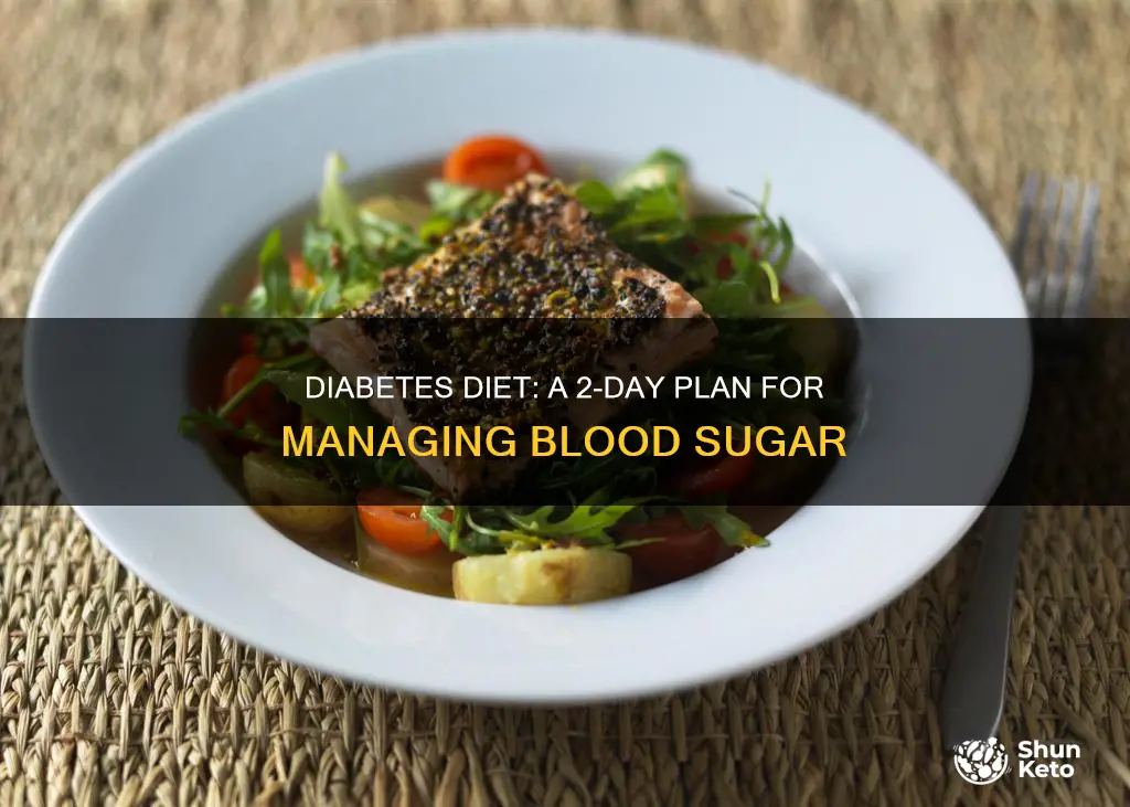 what is the 2 day diabetes diet