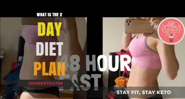 Unveiling the Secrets: A Comprehensive Guide to the 2-Day Diet Plan