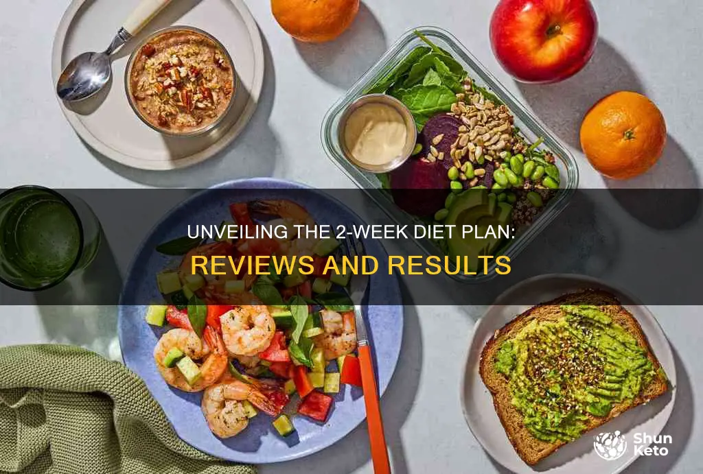 what is the 2 week diet plan reviews