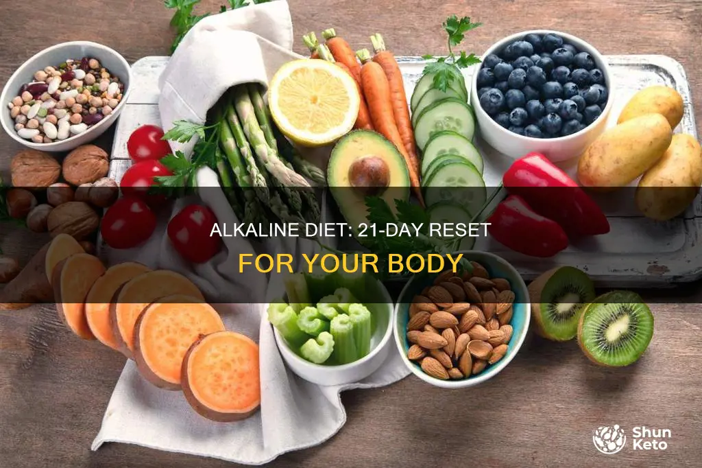 what is the 21 day alkaline diet