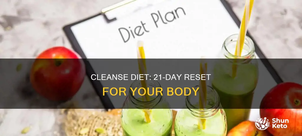 what is the 21 day cleanse diet