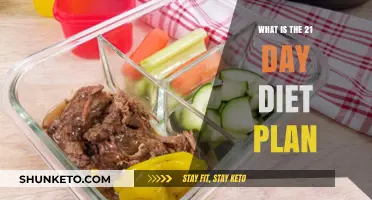 Unveiling the 21-Day Diet Plan: A Comprehensive Guide to Healthy Eating