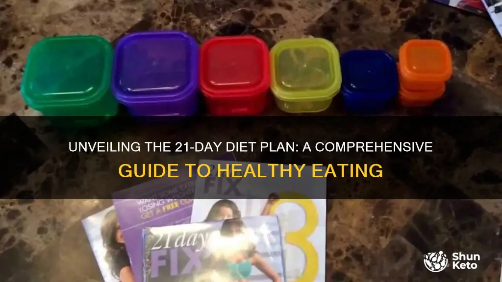 what is the 21 day diet plan