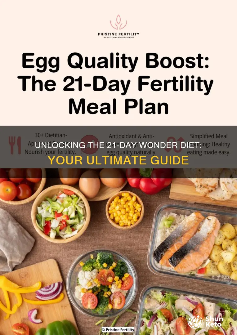 what is the 21 day wonder diet