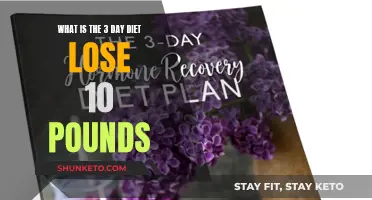 Lose 10 Pounds in 3 Days: A Strict Diet Plan