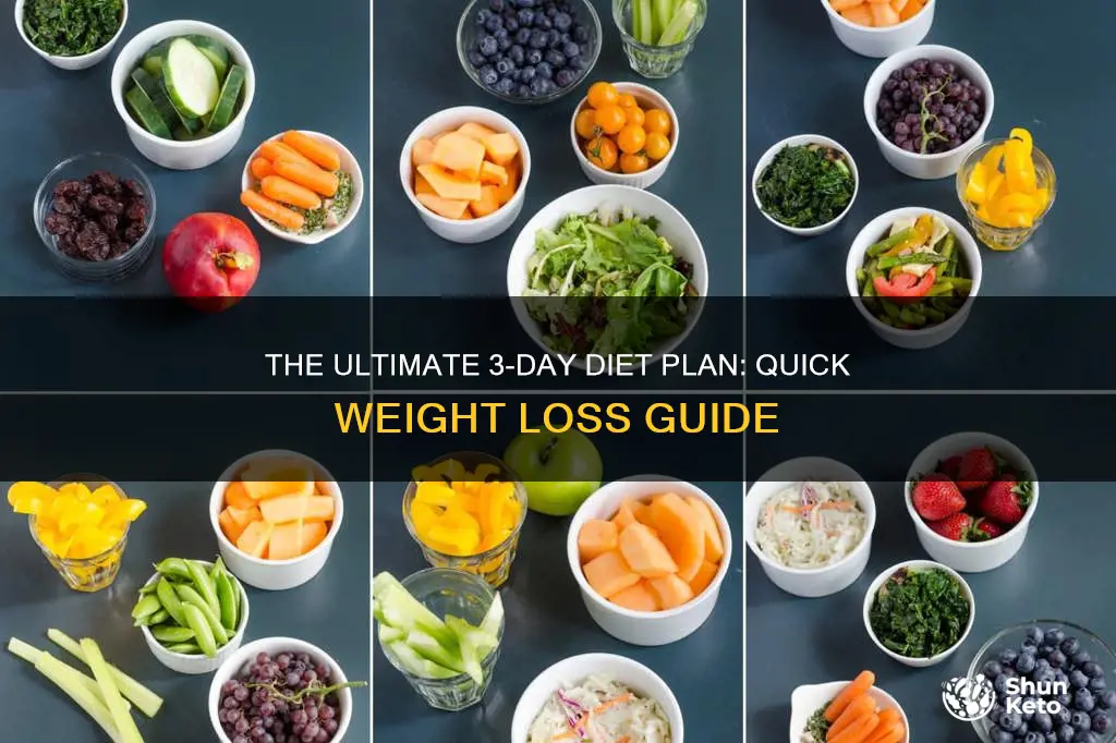 what is the 3 day diet plan