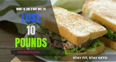 Quick Weight Loss: 3-Day Diet to Drop 10 Pounds