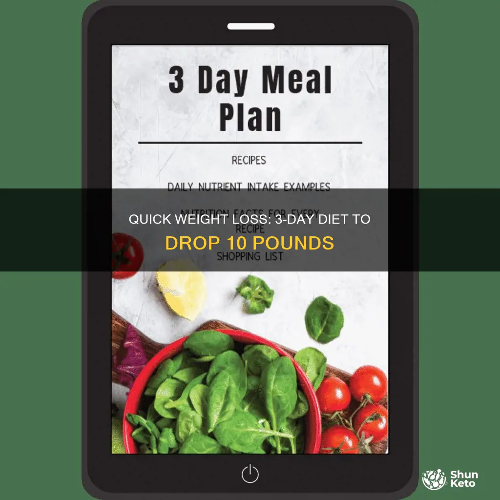 what is the 3 day diet to lose 10 pounds