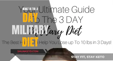 Military Diet: Quick Weight Loss in 3 Days