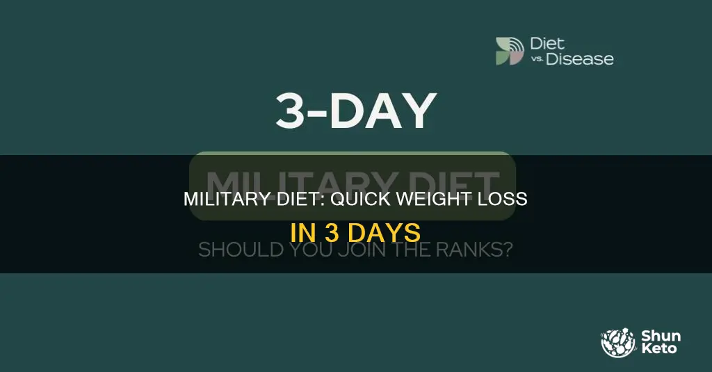 what is the 3 day military diet