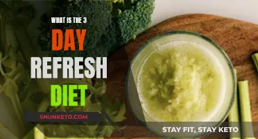 Refresh Diet: 3-Day Rapid Weight Loss