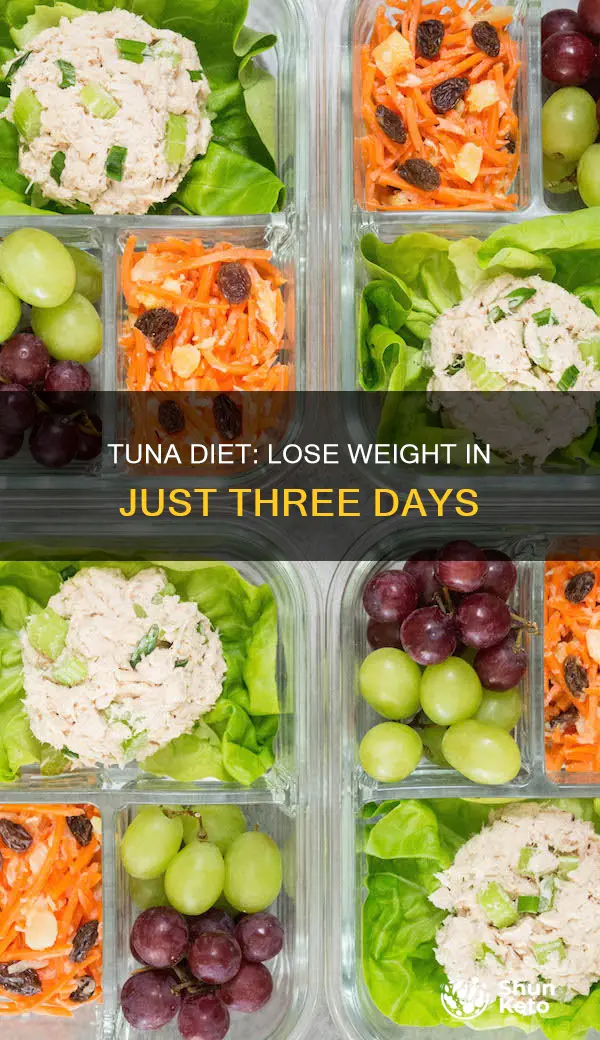what is the 3 day tuna diet