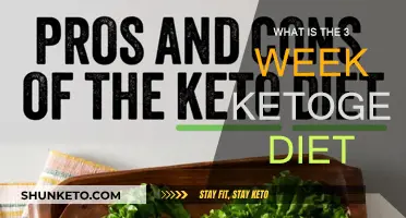 Kick-Starting Ketosis: A Three-Week Diet Plan