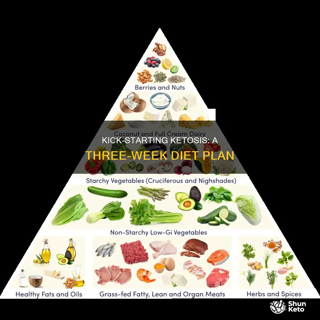 what is the 3 week ketogenic diet