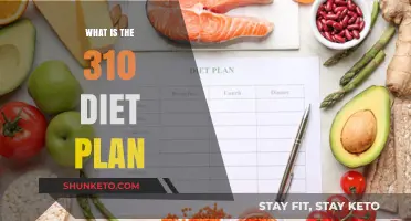 Unveiling the Secrets of the 310 Diet Plan: A Comprehensive Guide