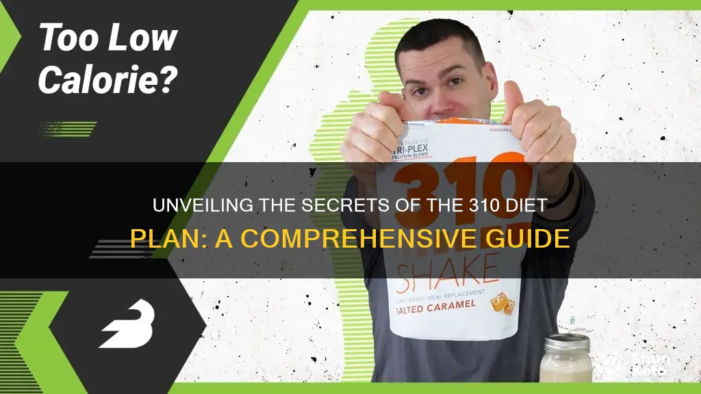 what is the 310 diet plan