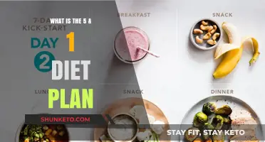 Unravel the Secrets: 5 & 1 Diet Plan Explained