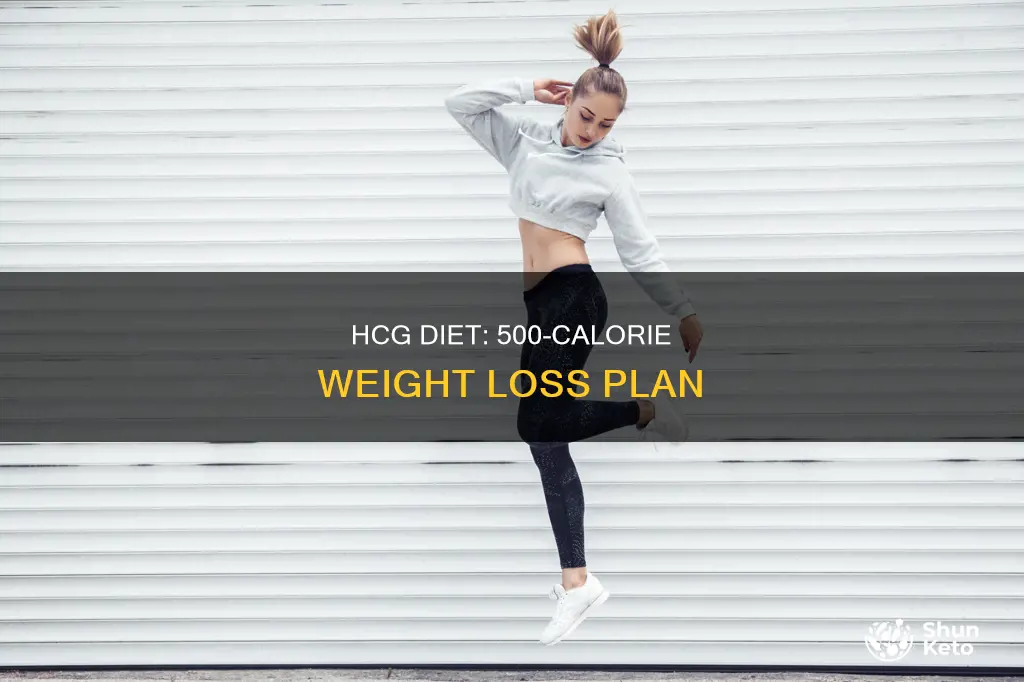 what is the 500 calorie diet for hcg