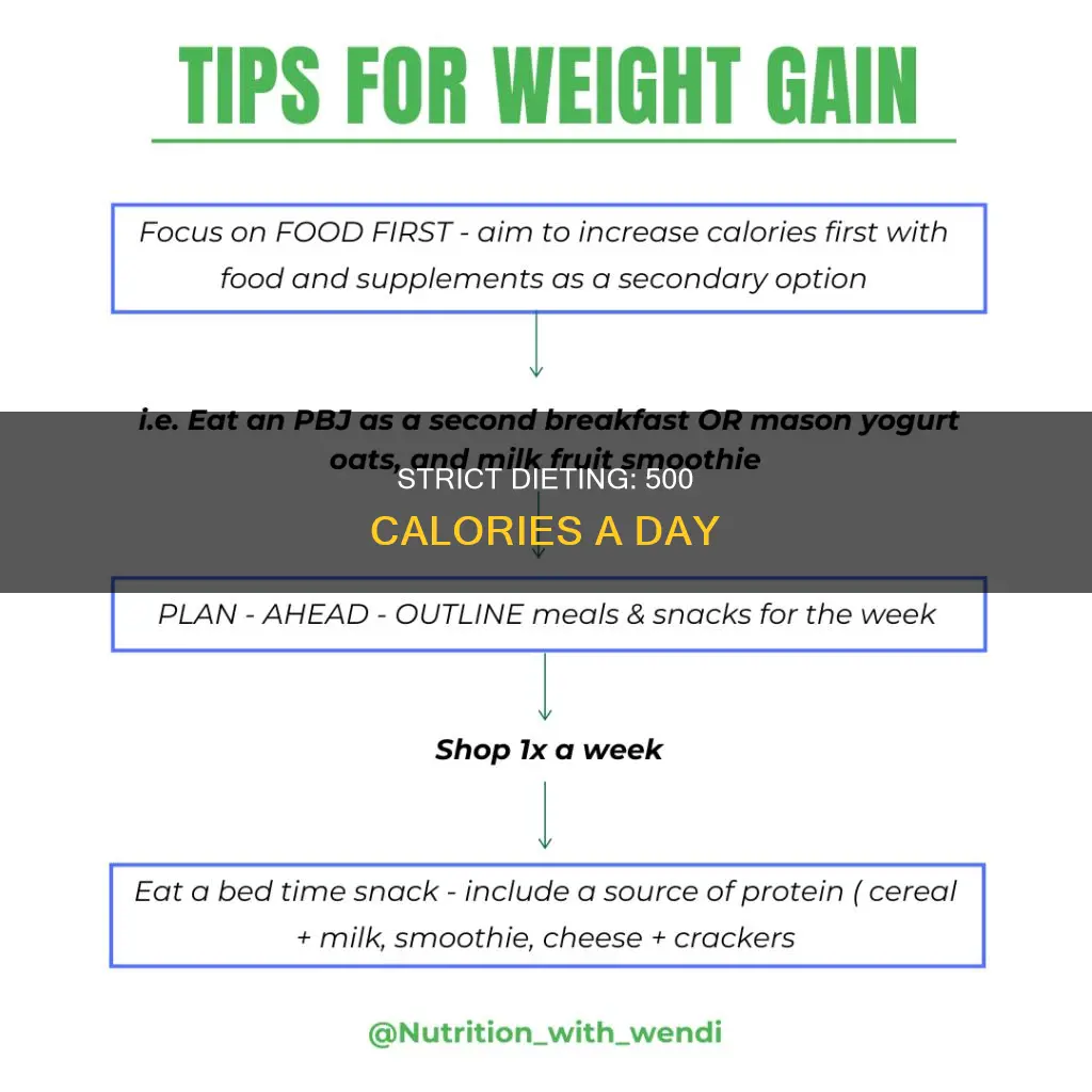 what is the 500 calorie per dya diet
