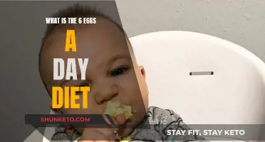Eggs-clusive Diet: Six-a-Day Weight Loss Plan