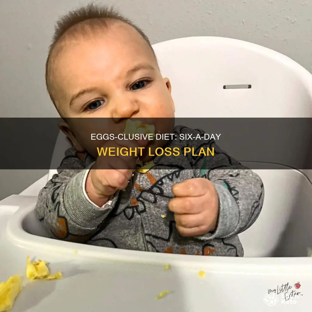 what is the 6 eggs a day diet