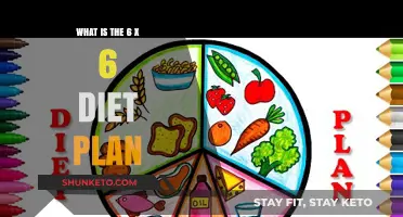 Unveiling the 6 x 6 Diet: A Comprehensive Guide