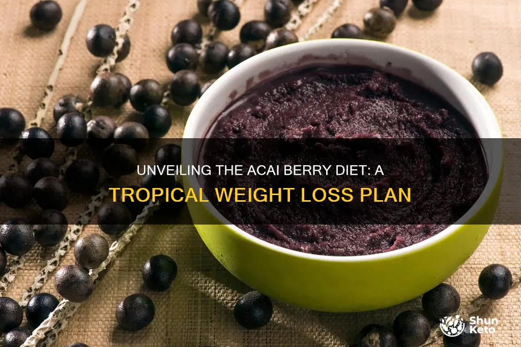 what is the acai berry diet plan