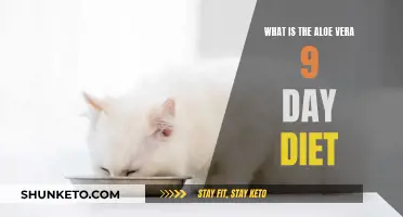 Aloe Vera Diet: 9-Day Plan for Detox and Weight Loss