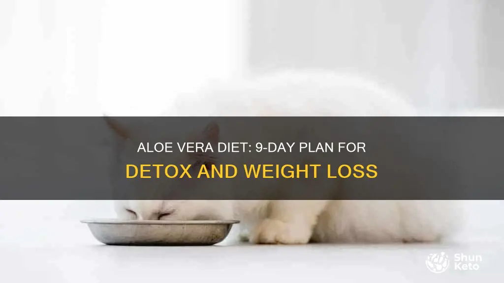 what is the aloe vera 9 day diet