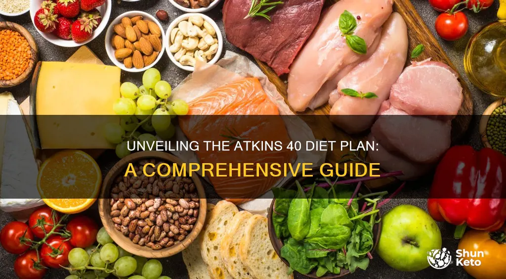 what is the atkins 40 diet plan