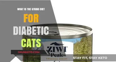Atkins Diet: A Diabetes Solution for Cats?