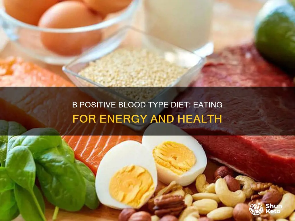 what is the b positive blood type diet