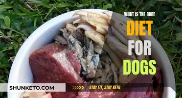 BARF Diet Basics: Raw Feeding for Dogs