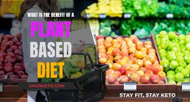 Plant-Based Diets: Health Benefits, No Meat Necessary